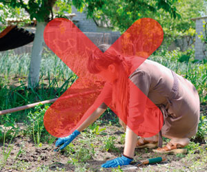 Weed Burner a 59,99€