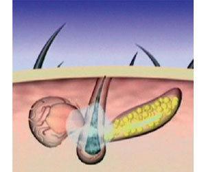 Hair Care Food Supplement 2x1 a 59,99€