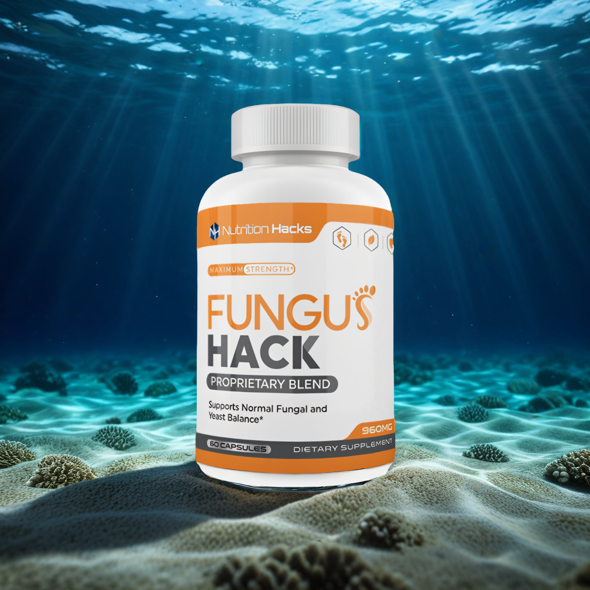 Fungus Hack 1 Bottle