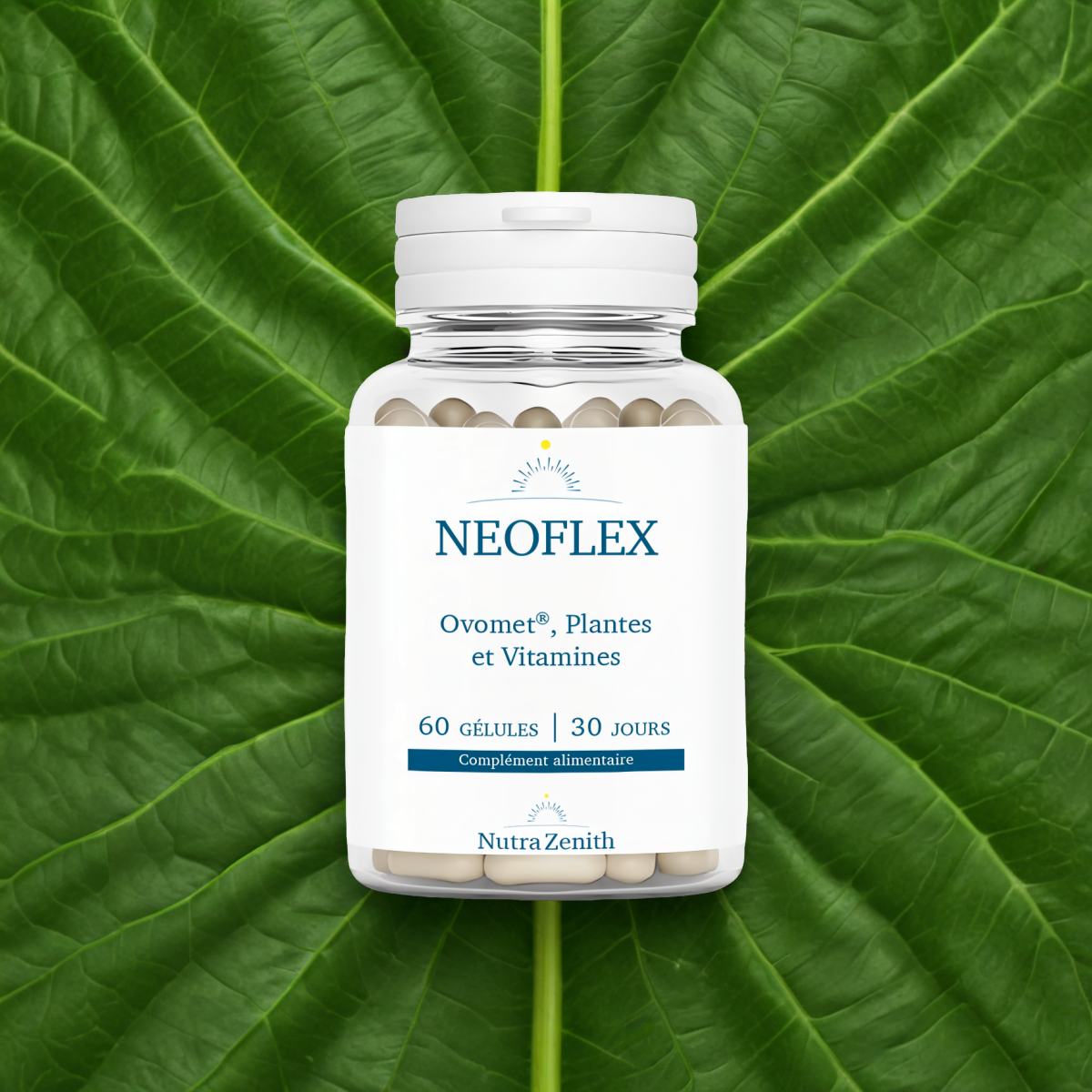Neoflex