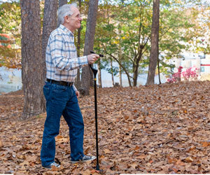 Wellpro Walking Stick a 19.698 HUF