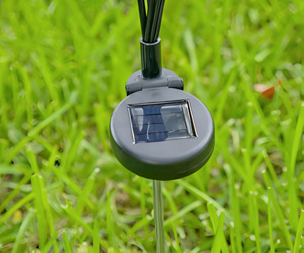 Starlyf Glow Lights 2x1 a 248 LEU